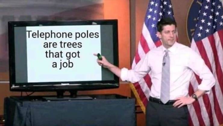paul ryan meme - Telephone poles are trees that got a job