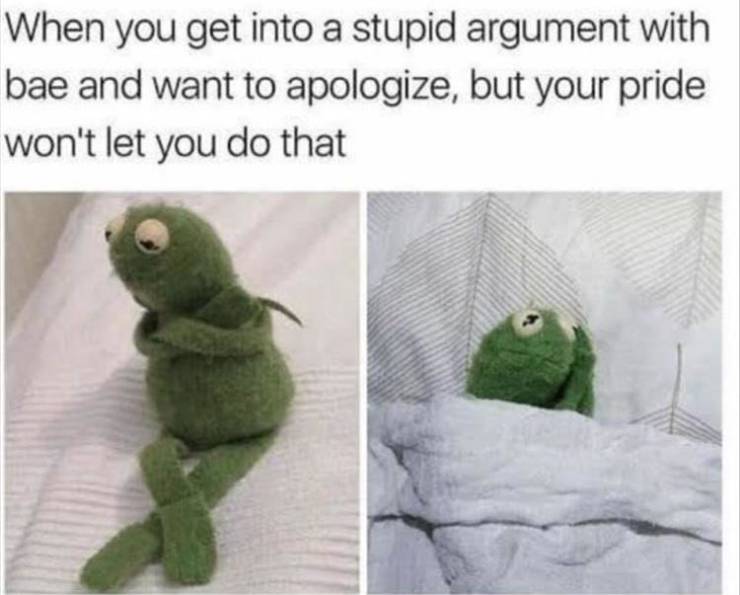 twitter relatable memes - When you get into a stupid argument with bae and want to apologize, but your pride won't let you do that