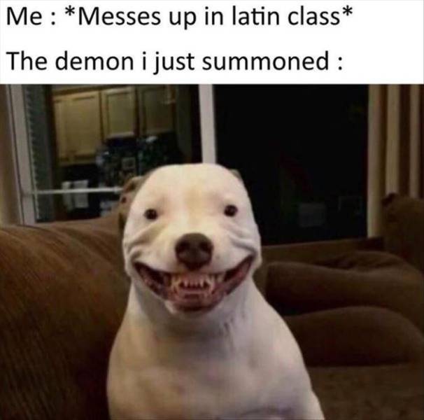 me messed up in latin class - Me Messes up in latin class The demon i just summoned
