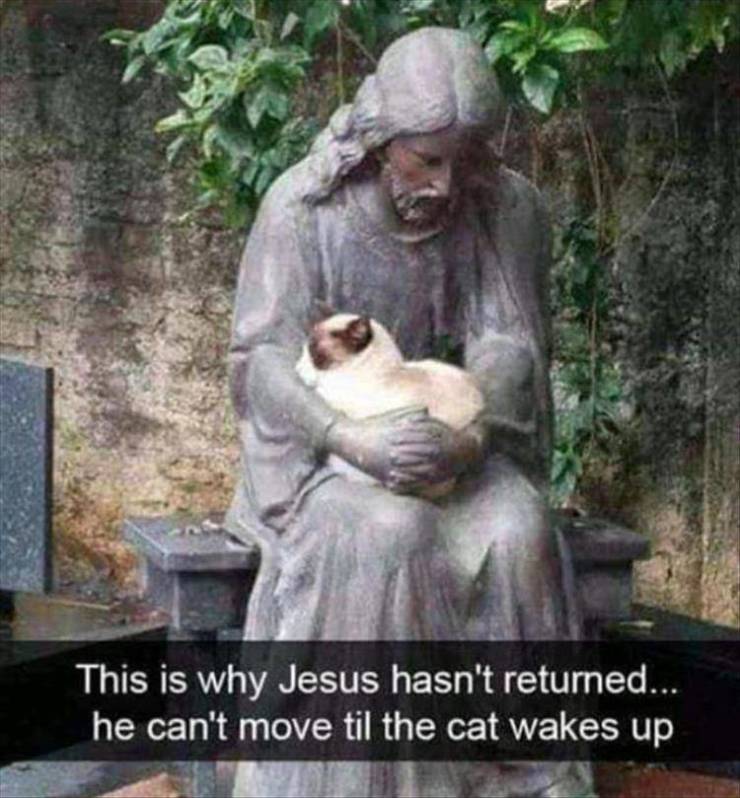 jesus hasn t returned - This is why Jesus hasn't returned... he can't move til the cat wakes up