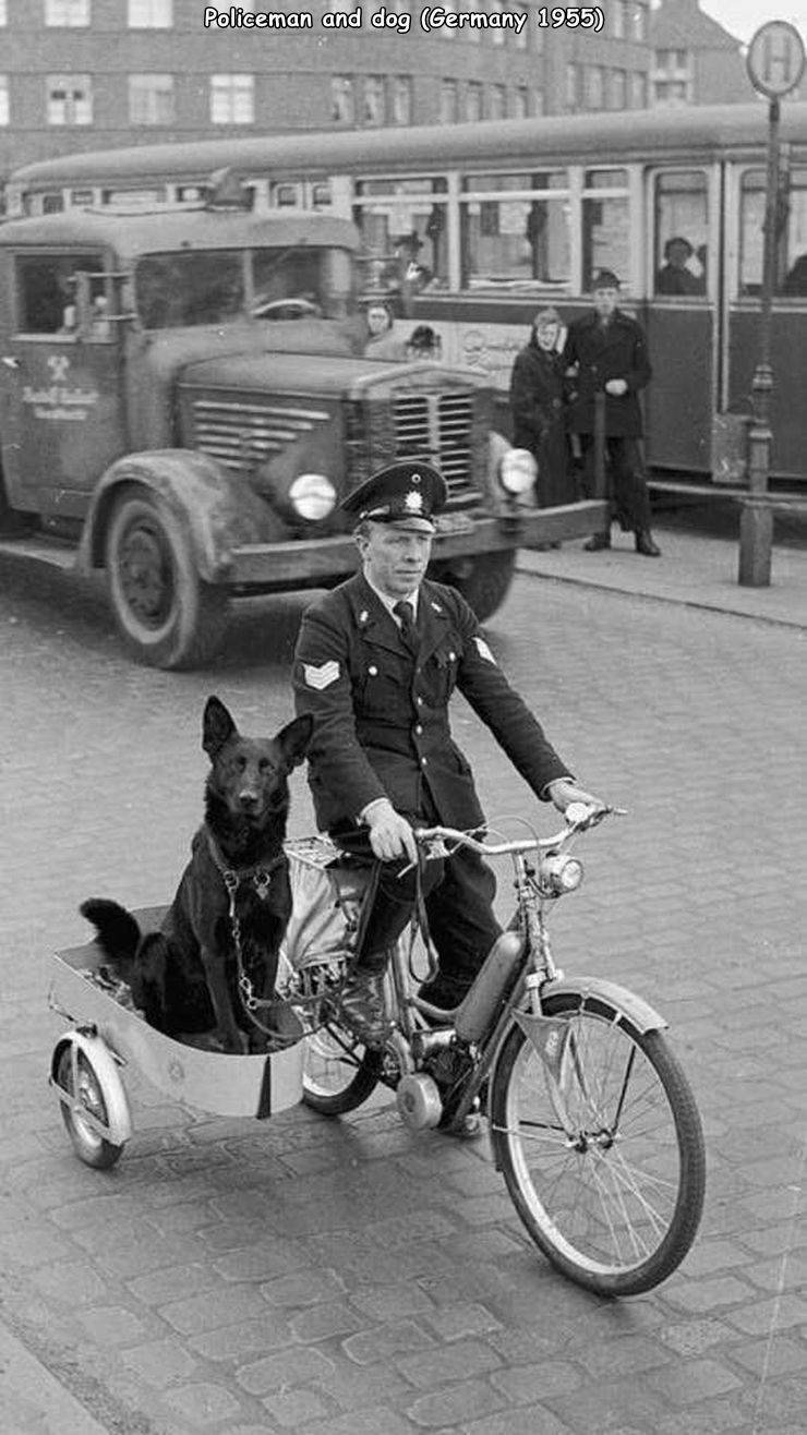 working dog vintage - Policeman and dog Germany 1955