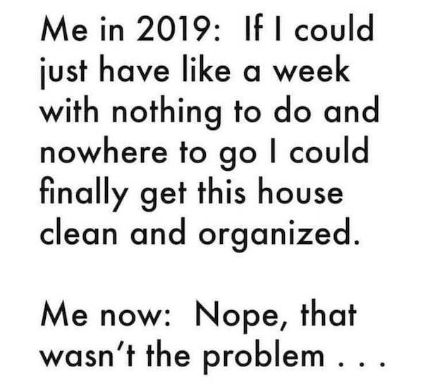 Me in 2019 If I could just have a week with nothing to do and nowhere to go I could finally get this house clean and organized. Me now Nope, that wasn't the problem ...