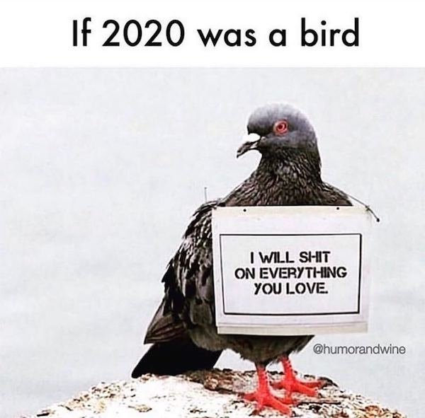will shit on everything you love - If 2020 was a bird I Will SiIt On EverytiIing You Love.