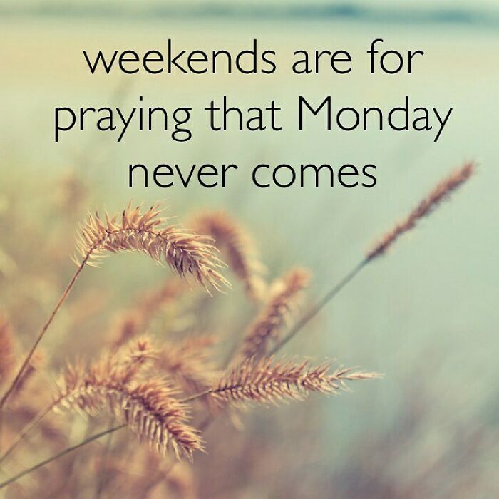 hate inspirational quotes - weekends are for praying that Monday never comes