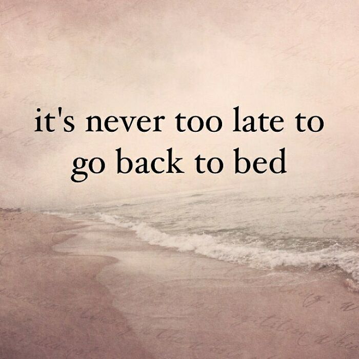 inspiration it's never too late to go back to bed - it's never too late to go back to bed