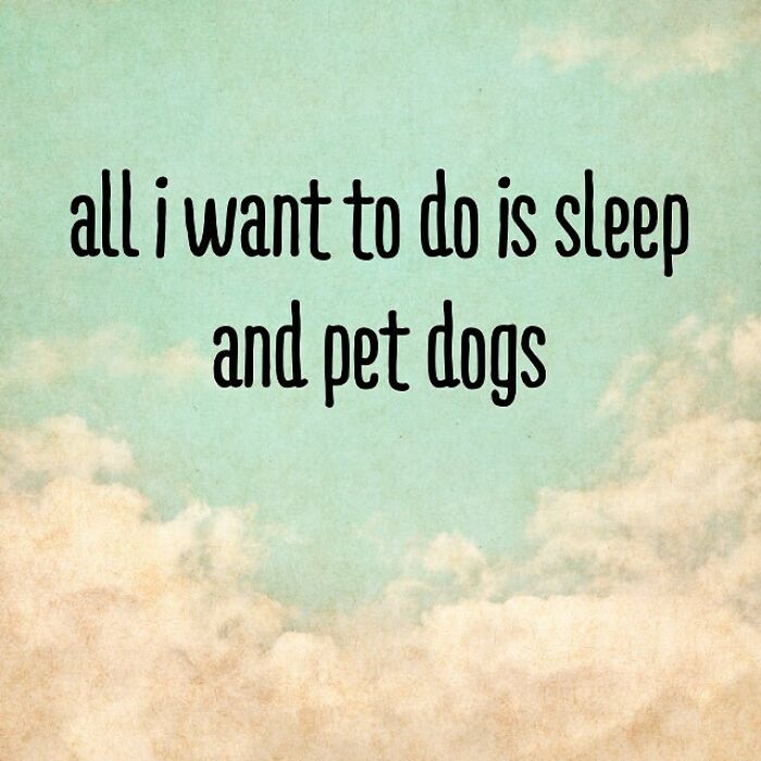 sky - all i want to do is sleep and pet dogs