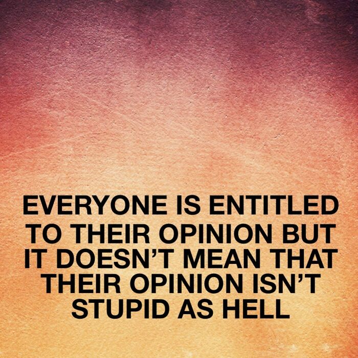 orange - Everyone Is Entitled To Their Opinion But It Doesn'T Mean That Their Opinion Isn'T Stupid As Hell