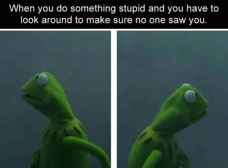funny memes - kermit looking side to side meme - When you do something stupid and you have to look around to make sure no one saw you.
