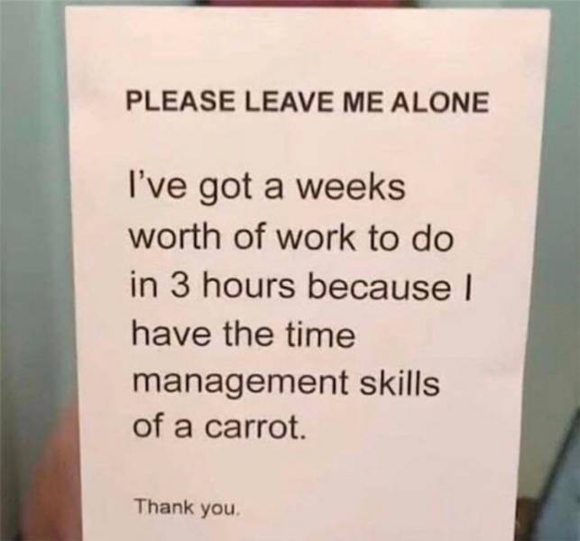 funny memes - Please Leave Me Alone I've got a weeks worth of work to do in 3 hours because I have the time management skills of a carrot. Thank you
