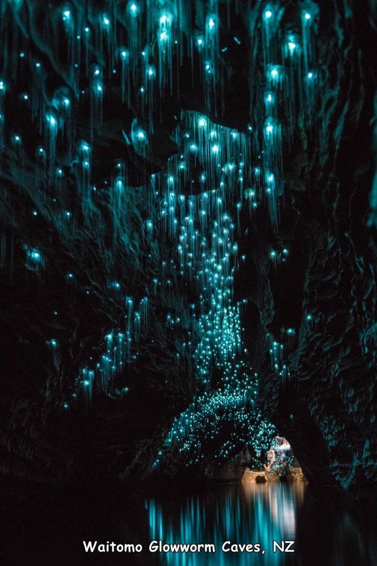 new zealand cave fireflies - Waitomo Glowworm Caves, Nz