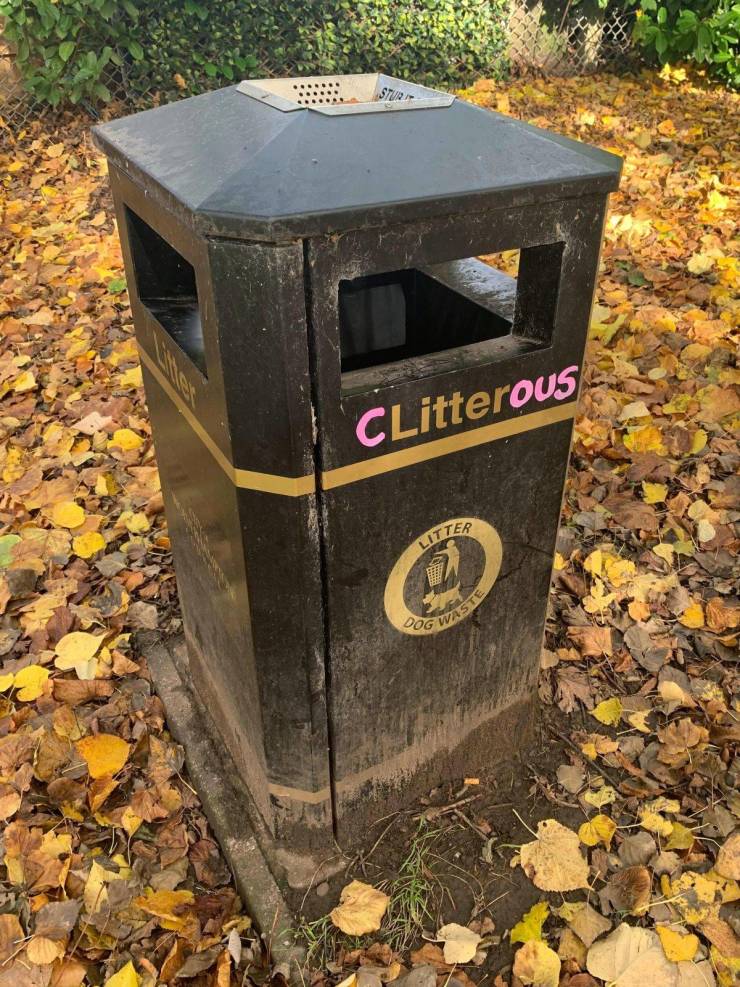 letter box - Dog Waste CLitterous