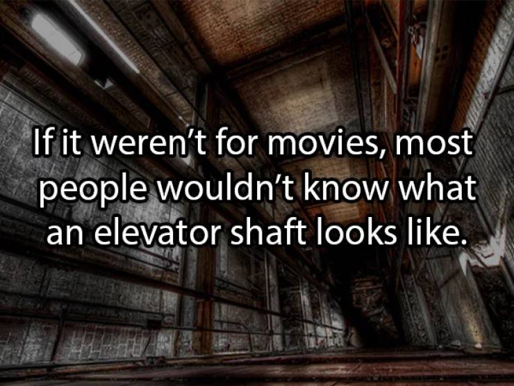 If it weren't for movies, most people wouldn't know what an elevator shaft looks .