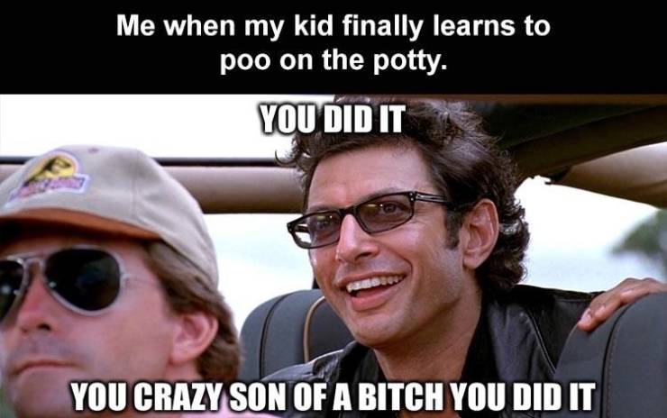 you did it you crazy sob - Me when my kid finally learns to poo on the potty. You Did It You Crazy Son Of A Bitch You Did It