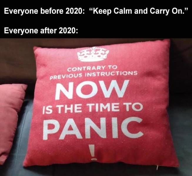 cushion - Everyone before 2020 "Keep Calm and Carry On." Everyone after 2020 Contrary To Previous Instructions Now Is The Time To Panic