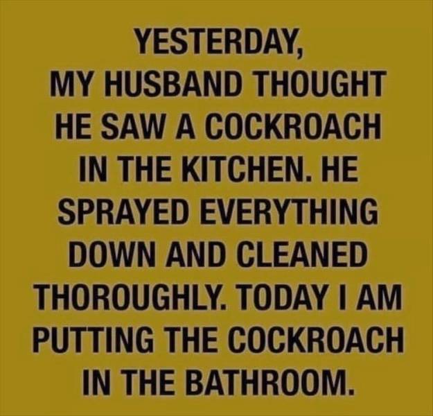 number - Yesterday, My Husband Thought He Saw A Cockroach In The Kitchen. He Sprayed Everything Down And Cleaned Thoroughly. Today I Am Putting The Cockroach In The Bathroom.