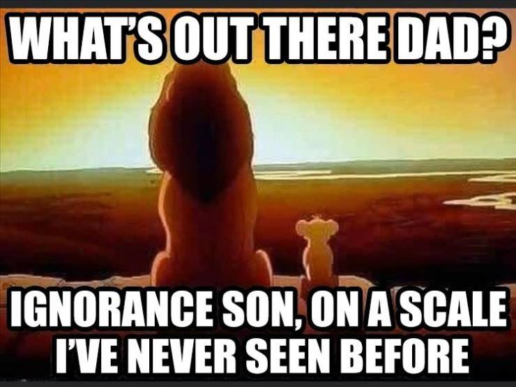 ignorance funny memes - What'S Out There Dad? Ignorance Son, On A Scale I'Ve Never Seen Before
