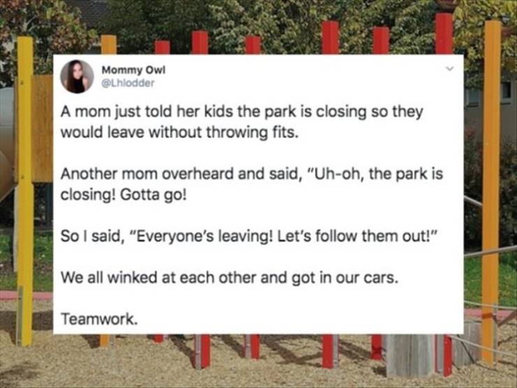 21 Best Twitter Pieces Of The Day