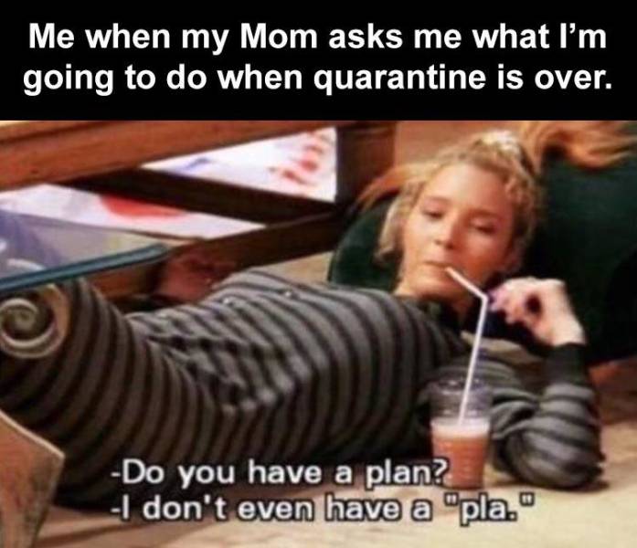 after graduation memes - Me when my Mom asks me what I'm going to do when quarantine is over. Do you have a plan? I don't even have a "pla."