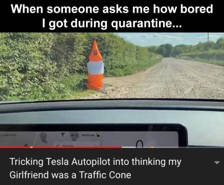 roses are red my dog ate a bone - When someone asks me how bored I got during quarantine... 0424 Tricking Tesla Autopilot into thinking my Girlfriend was a Traffic Cone