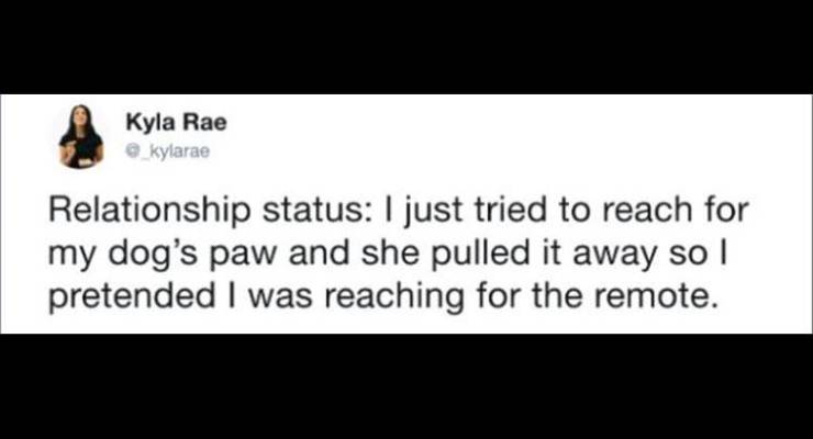 funny quotes and sayings - Kyla Rae Relationship status I just tried to reach for my dog's paw and she pulled it away so I pretended I was reaching for the remote.