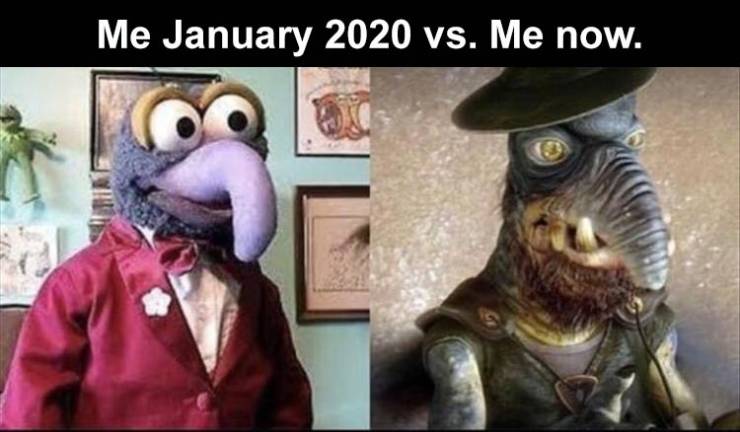 muppet memes - Me vs. Me now.