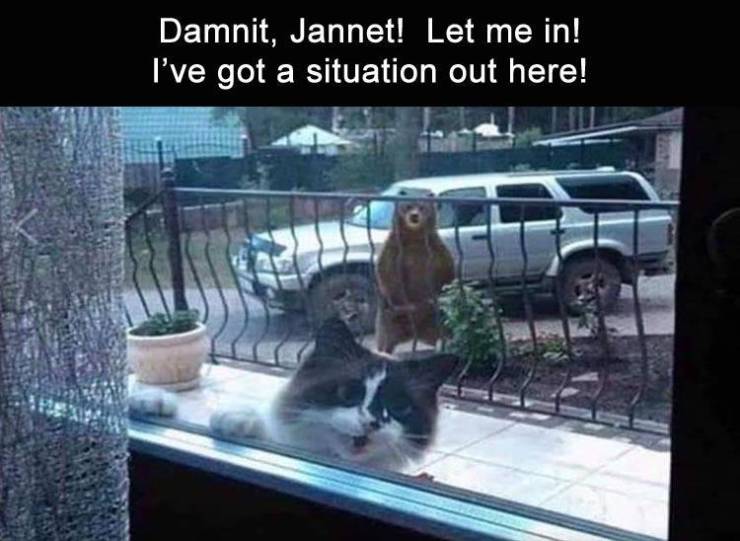 sandra can you open the door - Damnit, Jannet! Let me in! I've got a situation out here!