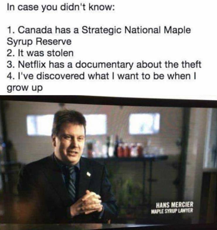canadian maple syrup reserve memes - In case you didn't know 1. Canada has a Strategic National Maple Syrup Reserve 2. It was stolen 3. Netflix has a documentary about the theft 4. I've discovered what I want to be when I grow up Hans Mercier Maple Syrup 