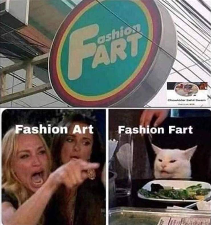 fashion fart cat meme - ashion Part Fashion Art Fashion Fart