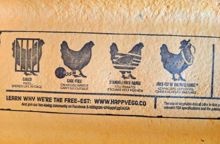 The way this egg carton shows the path of a chicken’s liberation from prison to the farm