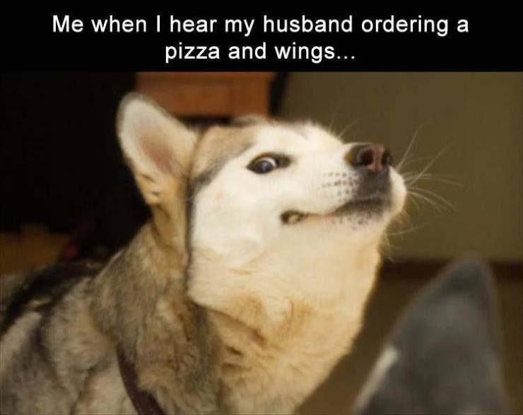 lil pupper - a Me when I hear my husband ordering pizza and wings...