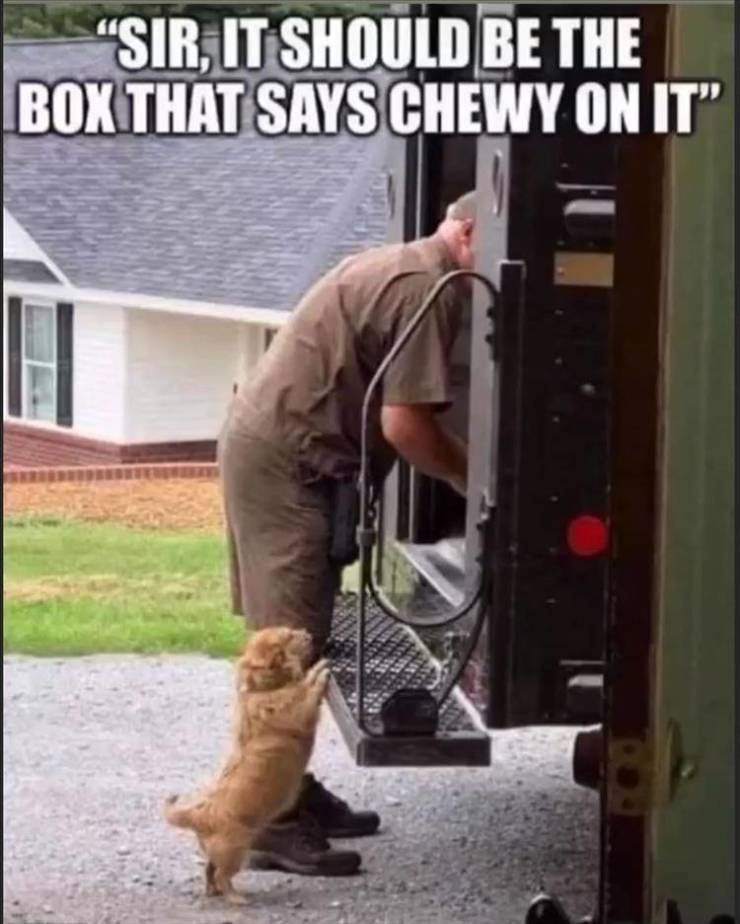 its da package that says chewy sir - Sir, It Should Be The Box That Says Chewy On It"