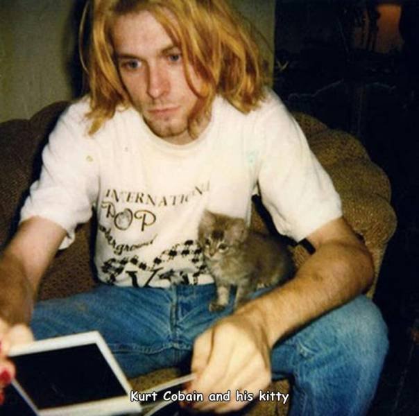 kurt cobain with cats - Svernational Rop Kurt Cobain and his kitty