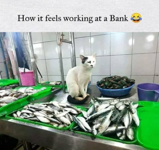 feels working at a bank - How it feels working at a Bank