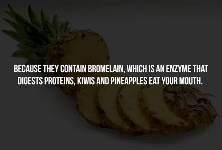 ananas - Because They Contain Bromelain, Which Is An Enzyme That Digests Proteins, Kiwis And Pineapples Eat Your Mouth.