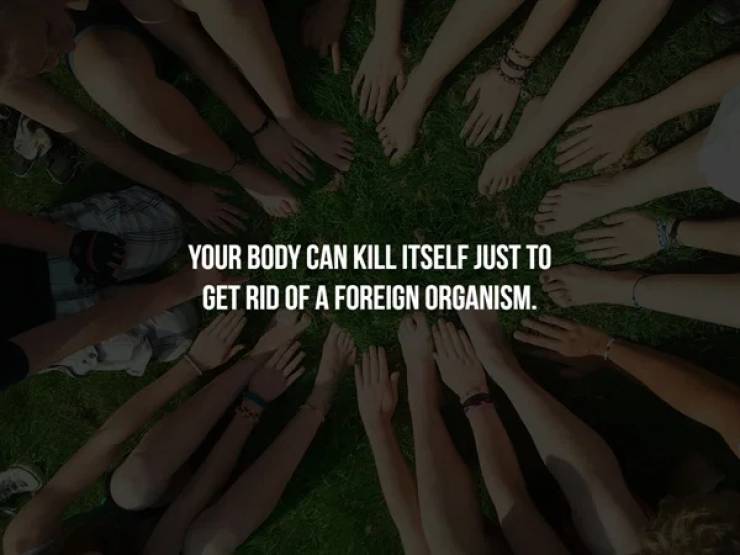 beauty in humanity - Your Body Can Kill Itself Just To Get Rid Of A Foreign Organism.