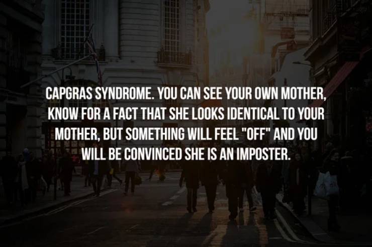 computer - Capgras Syndrome. You Can See Your Own Mother, Know For A Fact That She Looks Identical To Your Mother, But Something Will Feel "Off" And You Will Be Convinced She Is An Imposter.