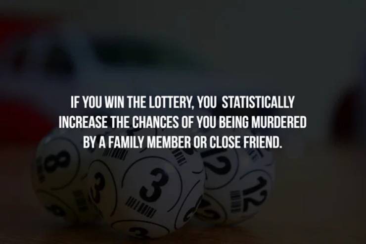 photo caption - If You Win The Lottery, You Statistically Increase The Chances Of You Being Murdered By A Family Member Or Close Friend. 3