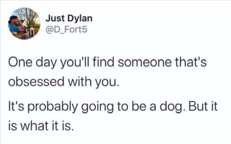 exposed brick meme - Just Dylan One day you'll find someone that's obsessed with you. It's probably going to be a dog. But it is what it is.