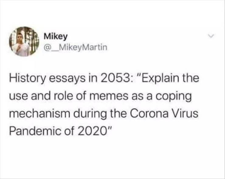 paper - Mikey Martin History essays in 2053 "Explain the use and role of memes as a coping mechanism during the Corona Virus Pandemic of 2020"