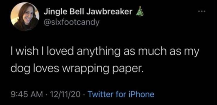 treat my relationships like math - Jingle Bell Jawbreaker I wish I loved anything as much as my dog loves wrapping paper. 121120 Twitter for iPhone