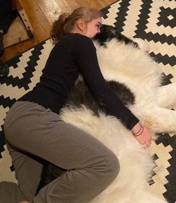 Oversized Pets That Are Total Units