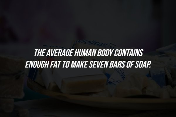 booster enterprises - The Average Human Body Contains Enough Fat To Make Seven Bars Of Soap.