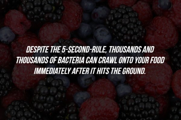 natural foods - Despite The 5SecondRule, Thousands And Thousands Of Bacteria Can Crawl Onto Your Food Immediately After It Hits The Ground.
