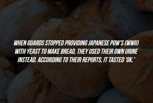 rock - When Guards Stopped Providing Japanese Pow'S Wwid With Yeast To Make Bread, They Used Their Own Urine Instead. According To Their Reports, It Tasted 'Ok."
