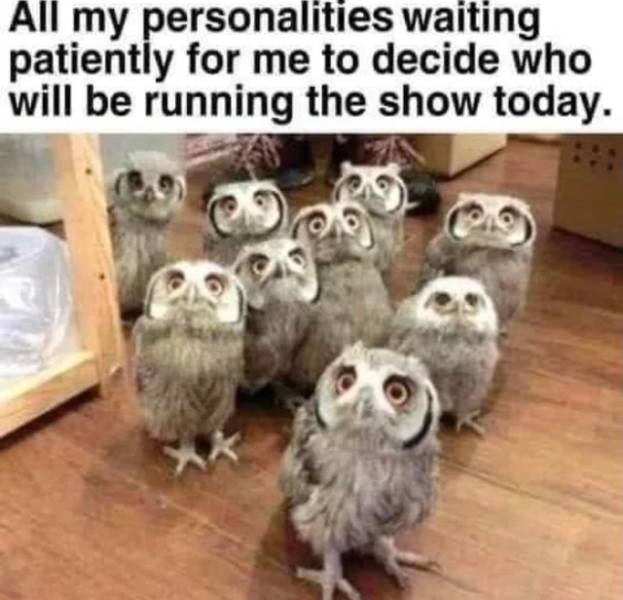 we heard you have tootsie pops - All my personalities waiting patiently for me to decide who will be running the show today.