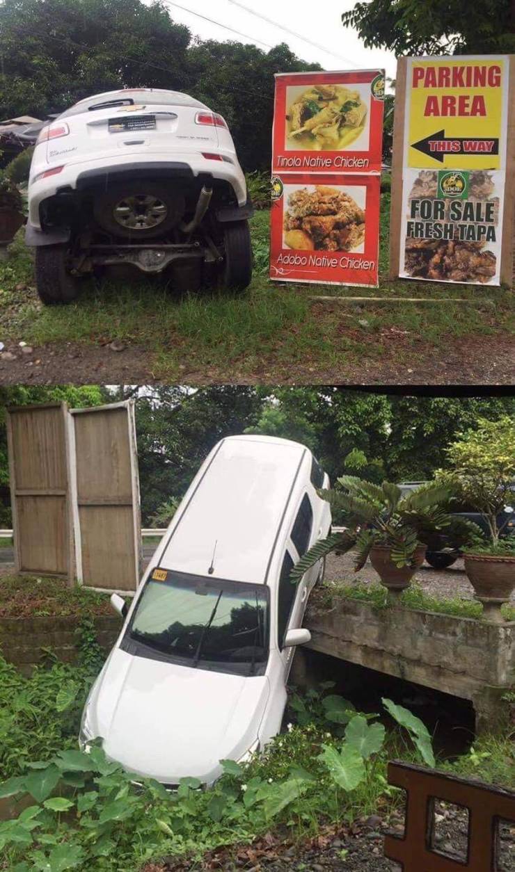 random photos and cool pics - tree - Parking Area This Way Tinola Native Chicken For Sale Fresh Tapa Adobo Native Chicken