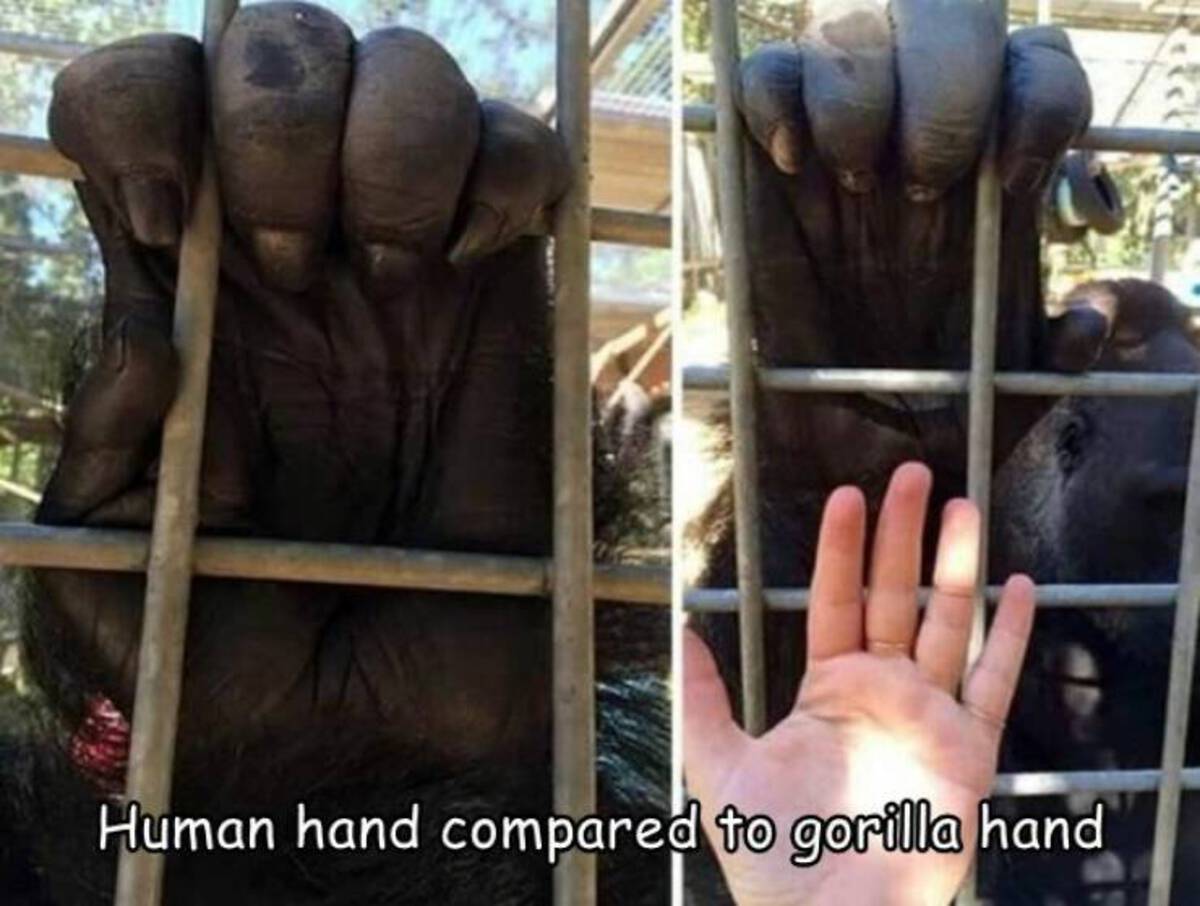 38 Fascinating Pics to Entertain Your Brain 