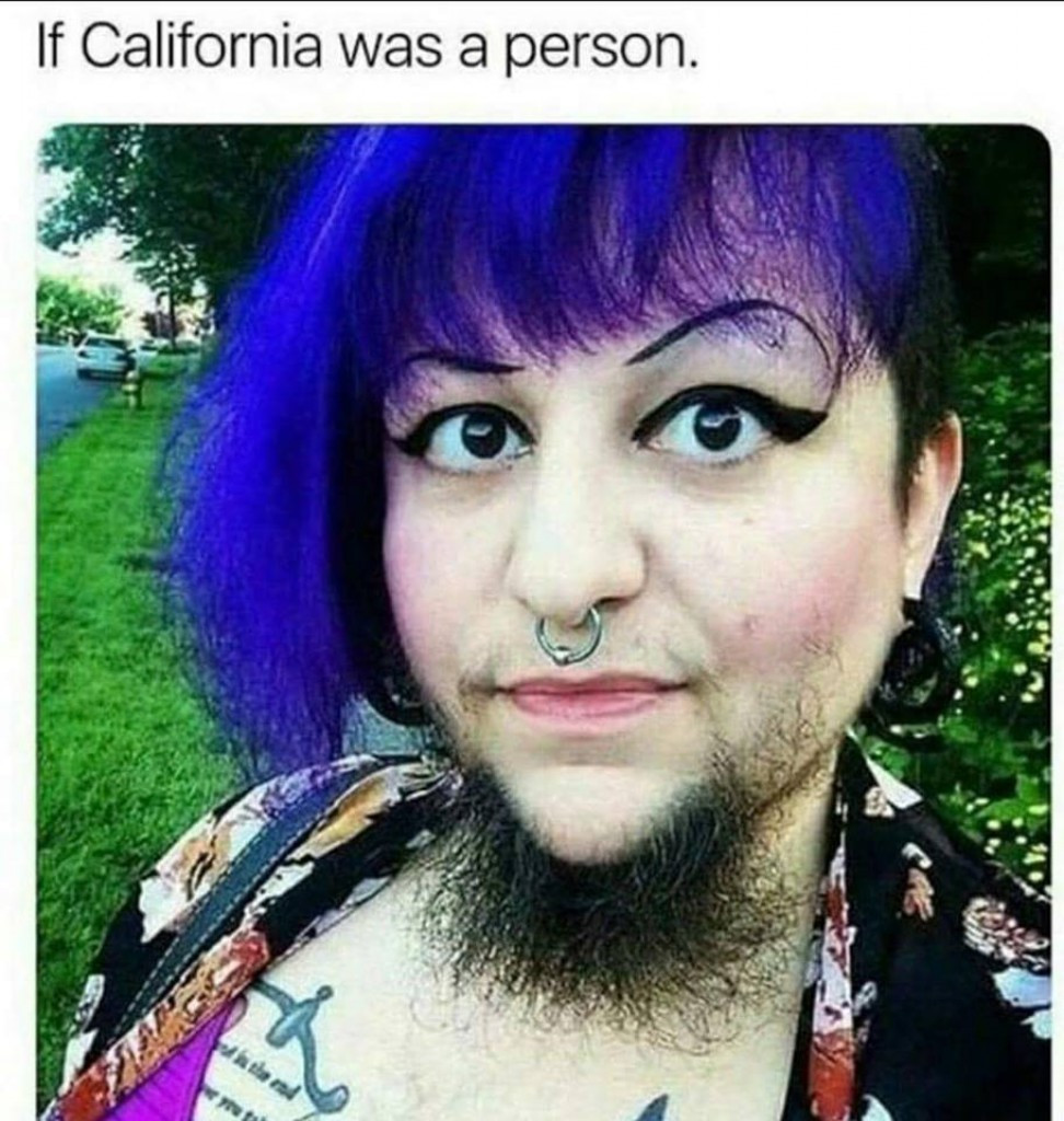 memes - if california were a person - If California was a person.