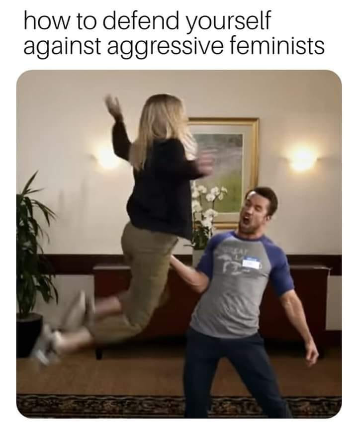 memes - dirty sexy memes - how to defend yourself against aggressive feminists
