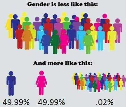 memes - gender is less like this and more like this - Gender is less this And more this 49.99% 49.99% .02%
